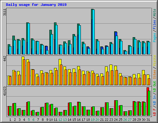 Daily usage for January 2019