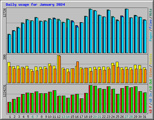 Daily usage for January 2024