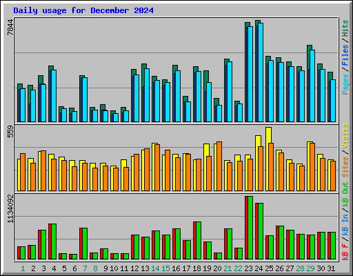 Daily usage for December 2024