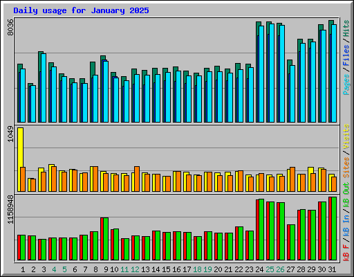 Daily usage for January 2025