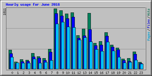 Hourly usage for June 2016