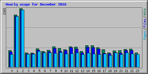 Hourly usage for December 2016