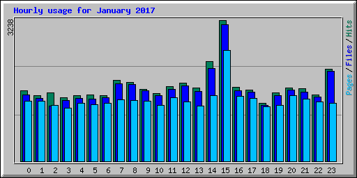 Hourly usage for January 2017