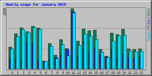 Hourly usage for January 2019