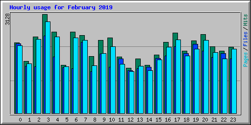 Hourly usage for February 2019