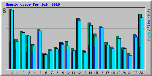 Hourly usage for July 2019