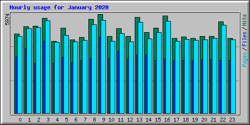 Hourly usage for January 2020