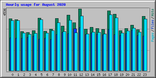 Hourly usage for August 2020