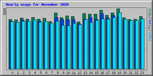 Hourly usage for November 2020