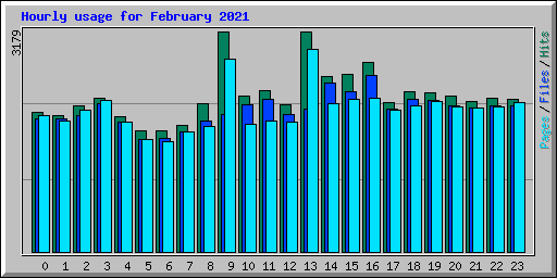 Hourly usage for February 2021