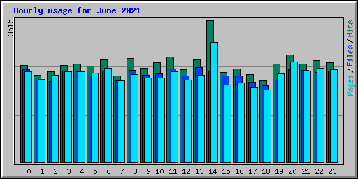 Hourly usage for June 2021