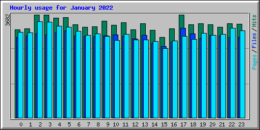 Hourly usage for January 2022