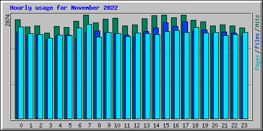 Hourly usage for November 2022
