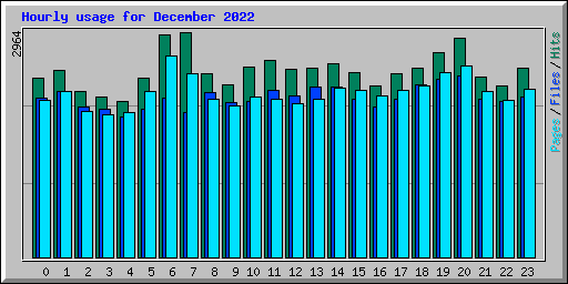 Hourly usage for December 2022