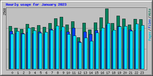 Hourly usage for January 2023
