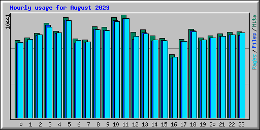 Hourly usage for August 2023
