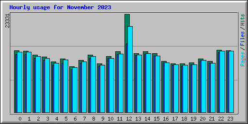Hourly usage for November 2023