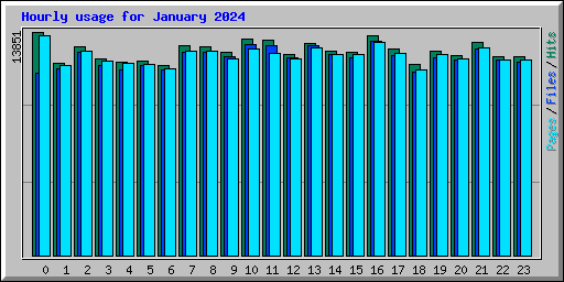 Hourly usage for January 2024
