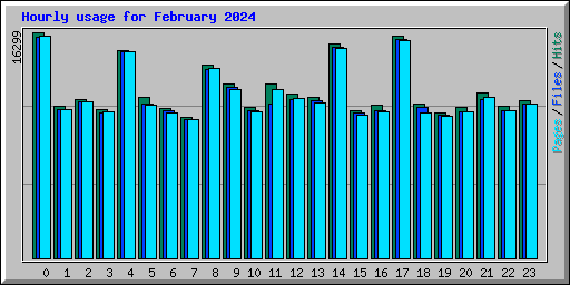 Hourly usage for February 2024