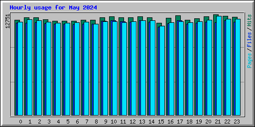 Hourly usage for May 2024