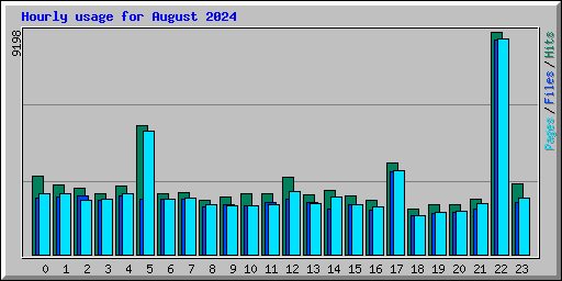 Hourly usage for August 2024