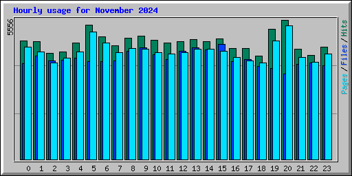 Hourly usage for November 2024