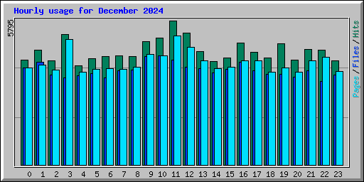 Hourly usage for December 2024