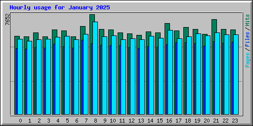 Hourly usage for January 2025