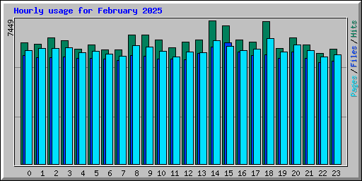 Hourly usage for February 2025