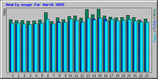 Hourly usage for March 2025