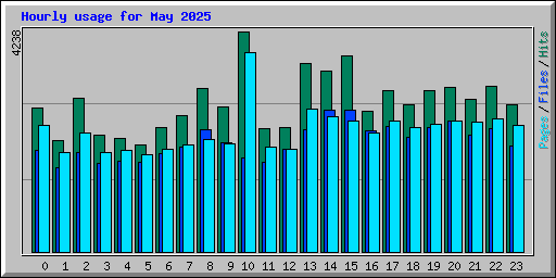 Hourly usage for May 2025