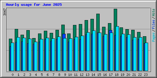 Hourly usage for June 2025