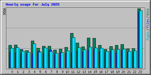 Hourly usage for July 2025