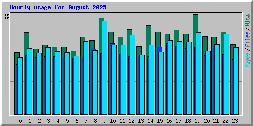 Hourly usage for August 2025