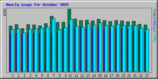 Hourly usage for October 2025
